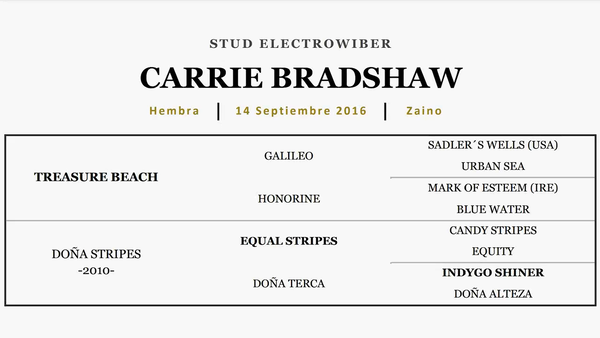 Lote CARRIE BRADSHAW (TREASURE BEACH - DOÑA STRIPES)