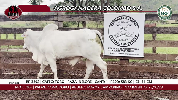 Lote TORO