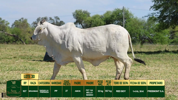 Lote LOTE 30