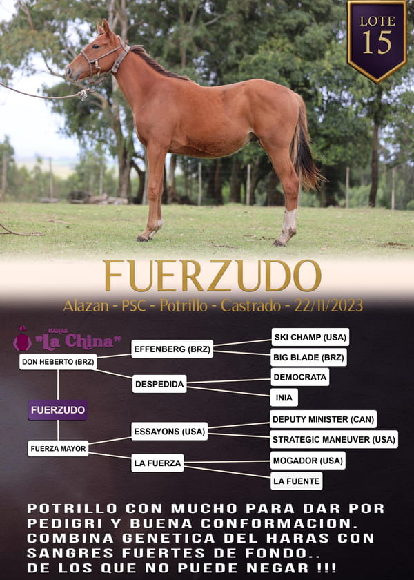 Lote FUERZUDO