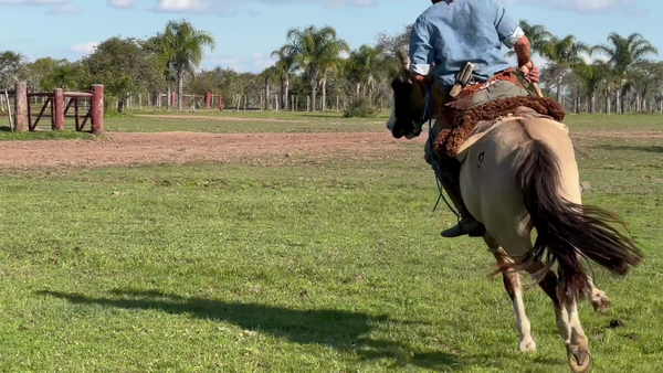 Lote 1 Montados en Corrientes, Curuzú-Cuatiá
