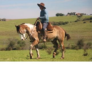 Lote YARARACA DEL CONVENTOS