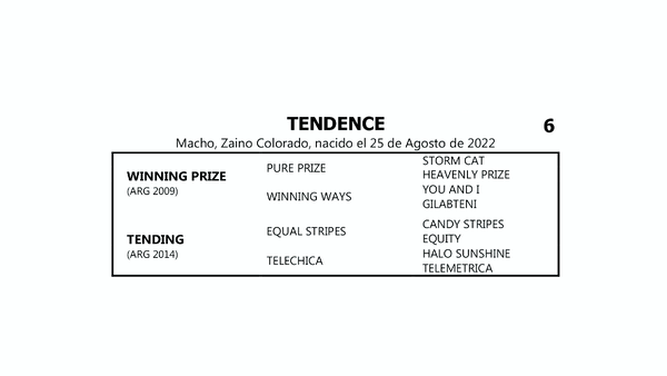 Lote TENDENCE (WINNING PRIZE - TENDING por EQUAL STRIPES)