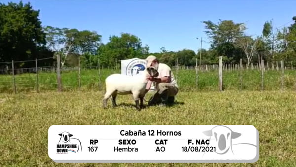 Lote LOTE 19 BOZAL - RP 167