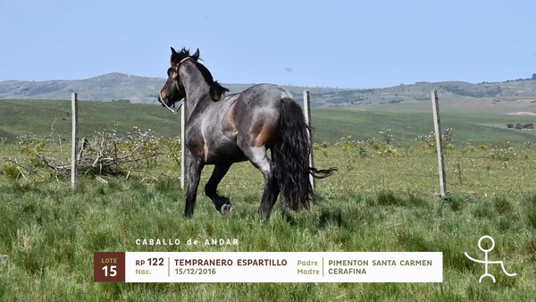 Lote TEMPRANERO ESPARTILLO