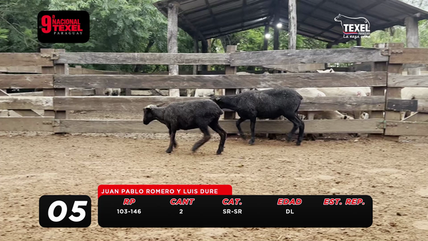 Lote LOTE 5- POR PANTALLA