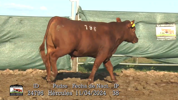 Lote 3 Toros, Durazno