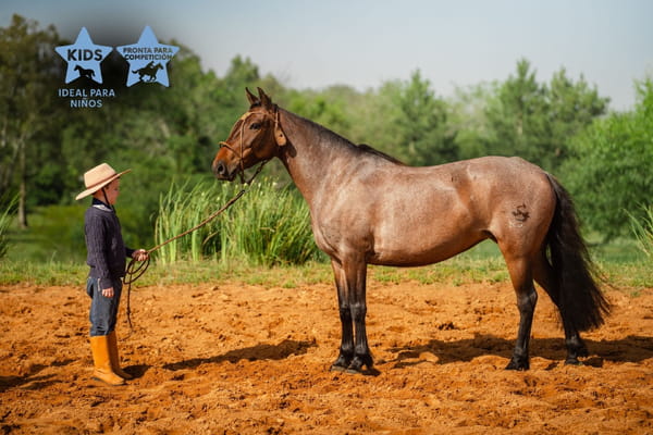 Lote AURORA LOS CERROS
