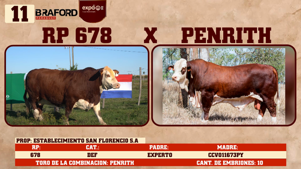 Lote LOTE 11