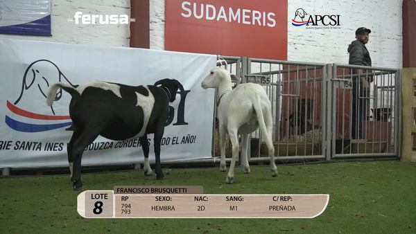 Lote Nacional Santa Inés Campo - Lote 8
