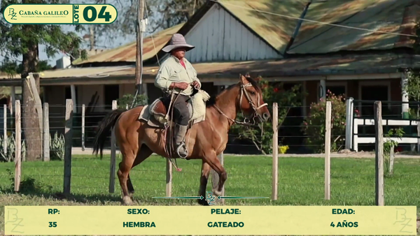 Lote LOTE 4