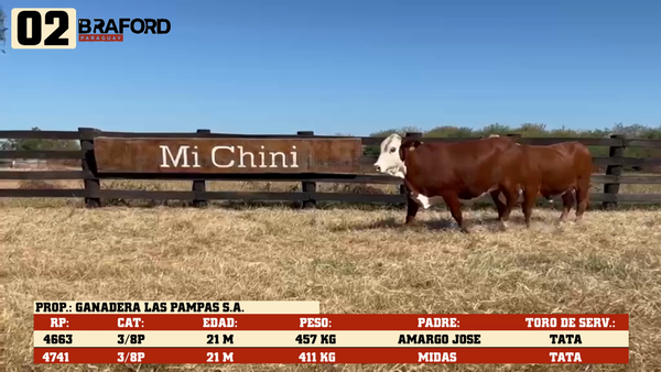 Lote LOTE 2