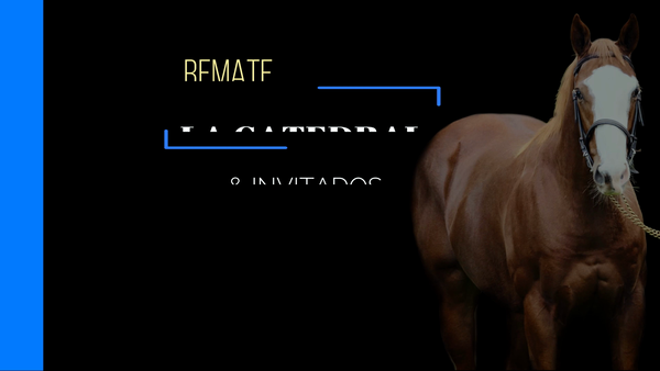 Lote CURIOSO FALON (CURIOSO JOHAN - RAQUEL FORNER)