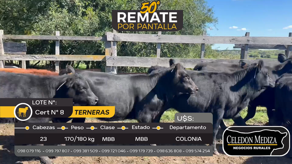 Lote 23 Terneras en Otra Localidad, Colonia