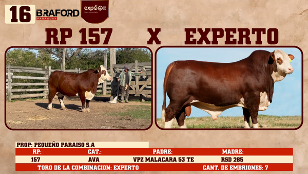 Lote LOTE 16