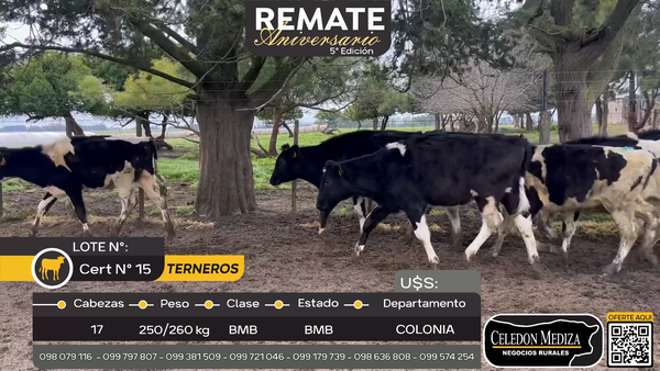 Lote 17 Terneros en El Cuadro, Colonia