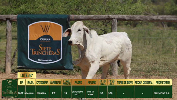 Lote LOTE 57