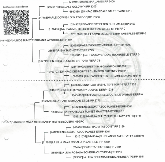 Lote Toros - Cabaña El Danubio