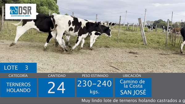 Lote 24 Terneros, Florida