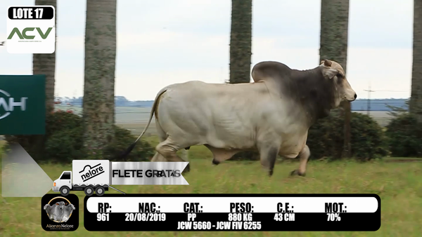 Lote LOTE  17-  RP 961