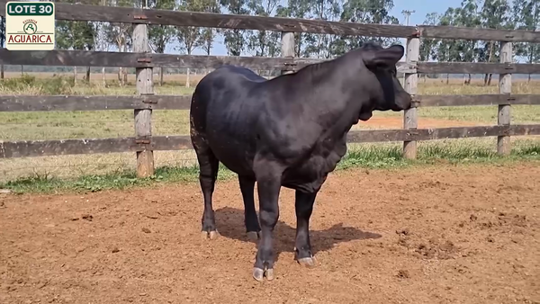 Lote LOTE 30