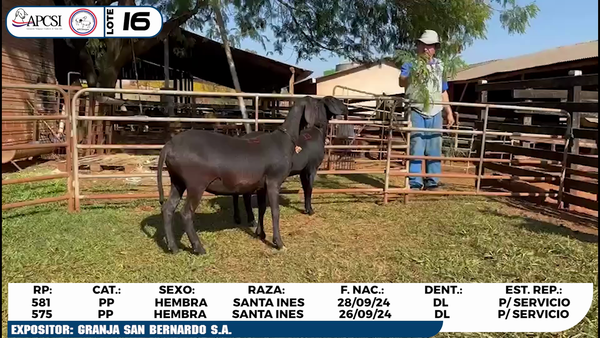 Lote LOTE 16