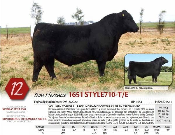 Lote TORO