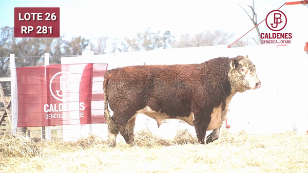 Lote Toro PR