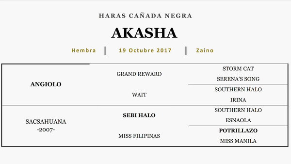 Lote AKASHA (ANGIOLO - SACSAHUANA)