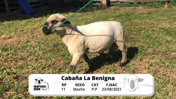 Lote LOTE 5 BOZAL - RP 11