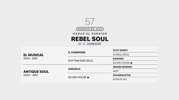 Lote REBEL SOUL