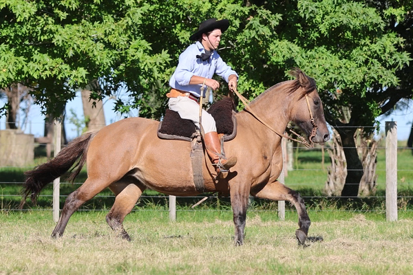 Lote CATANDUVA ALICIA