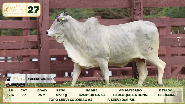 Lote LOTE 27