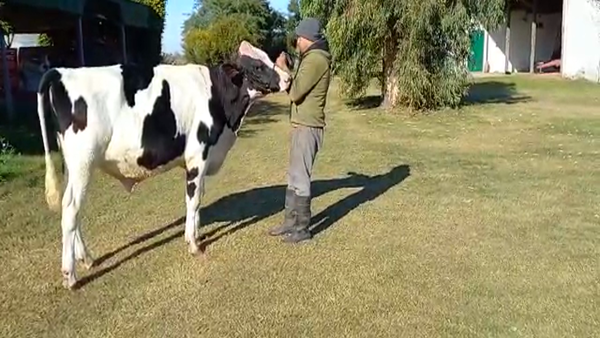 Lote La Magdalena - Toro RP 1630