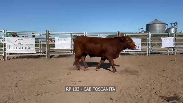 Lote RP 103 LA TOSCANITA