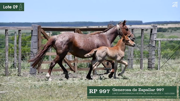 Lote Generosa del Zapallar