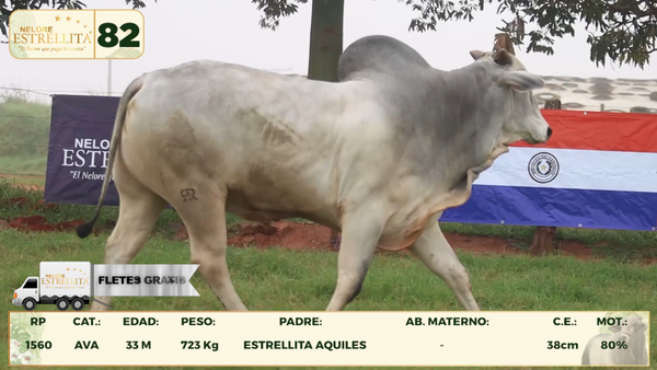 Lote LOTE 82