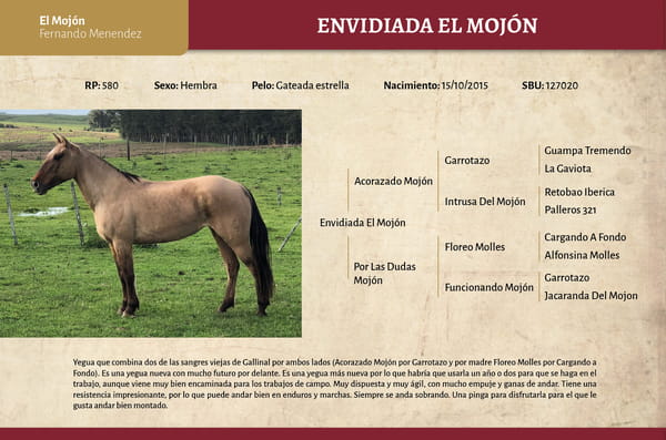 Lote Envidiada El Mojón (RP 580) - Cabaña "El Mojón”