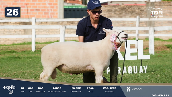 Lote LOTE 26