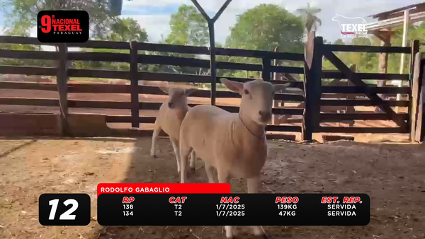 Lote LOTE 12