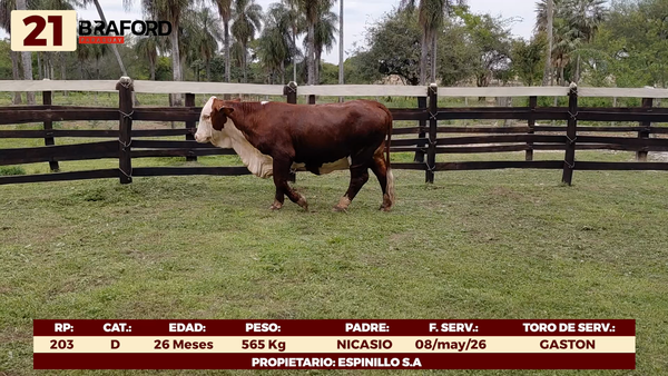 Lote LOTE 21 - VAQUILLAS DE CAMPO