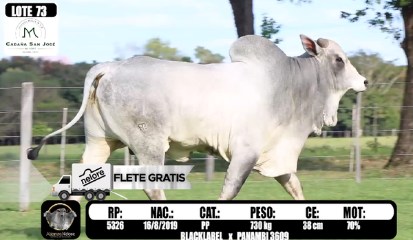 Lote LOTE   73 -RP 5326