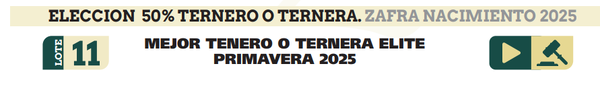 Lote LOTE 11