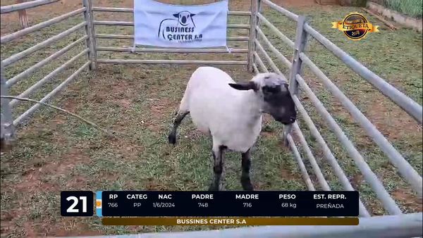 Lote LOTE 21