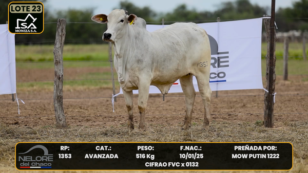 Lote LOTE 23