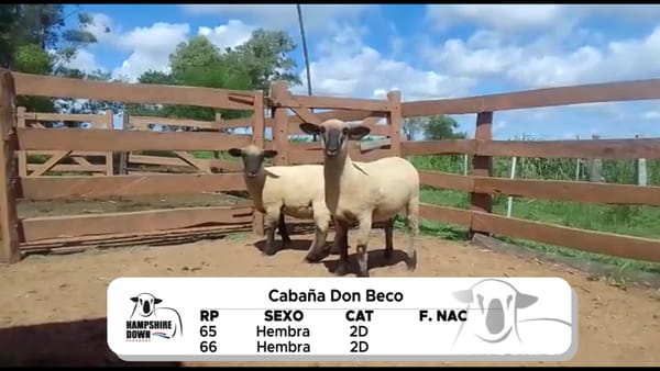 Lote LOTE 18 A CAMPO - RP 65 - RP 66