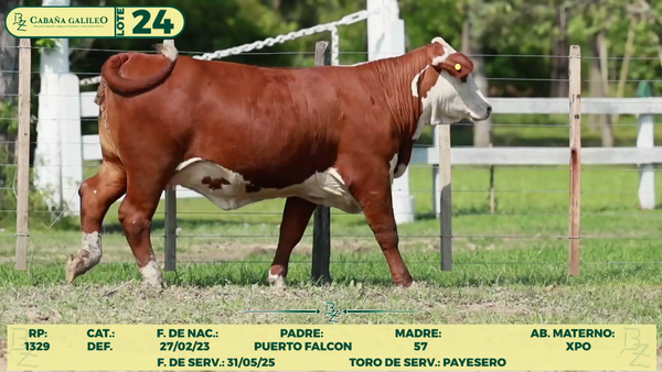 Lote LOTE 24