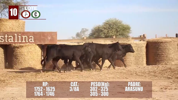Lote Lote 10 Reserva de Cabaña