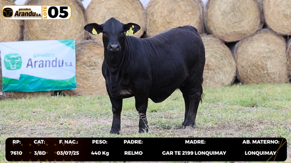 Lote LOTE 5