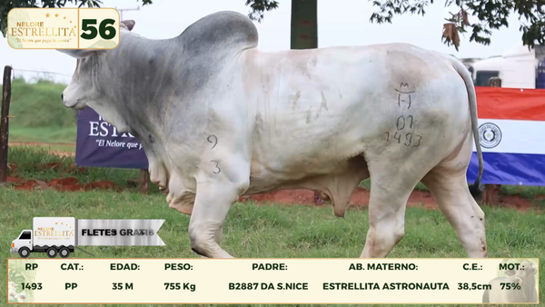 Lote LOTE 56
